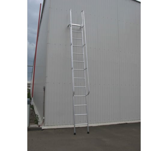53799830
